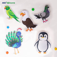 Pack of 8 Bird Cut-outs – Storytelling & Learning Fun for Kids!