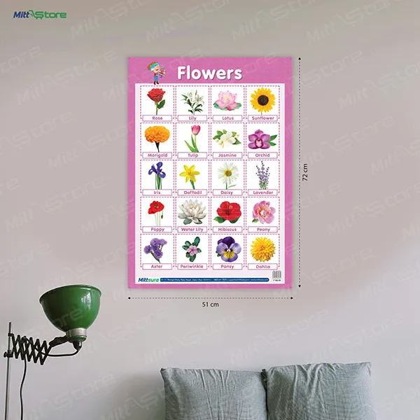 product-download-img