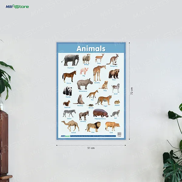 product-download-img