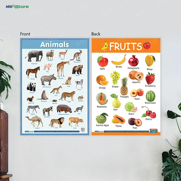 Animal & Fruits Chart – A Fun & Interactive Learning Tool for Kids – 2-in-1 (Reversible)