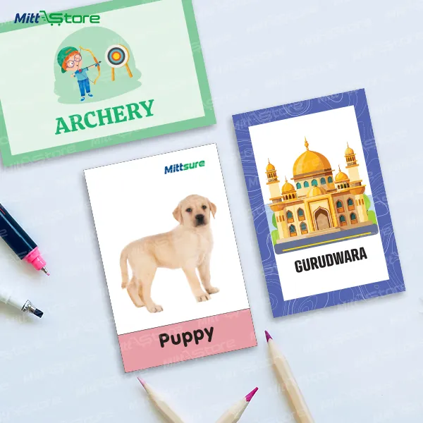 Box of 55 Flashcards - Animals & Babies, Sports Equipment, and Places Around Us