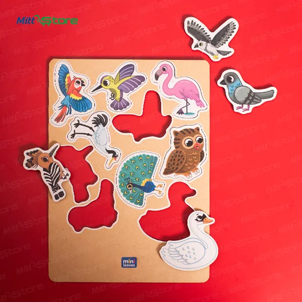 Interactive Bird Discovery Puzzle wit h Magnets