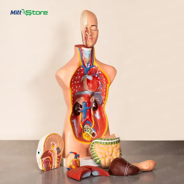 product-download-img