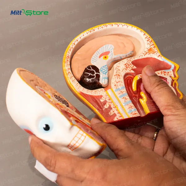 product-download-img