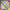 ABCD Big EVA Mat – Colorful Alphabet Floor Mat for Kids