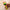 Bead Rattle Toy – Bright, Bouncy & Full of Fun!