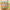 Zoo Slider Maze: Animal Adventure Puzzle Game for Young Explorers