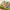 Zoo Slider Maze: Animal Adventure Puzzle Game for Young Explorers